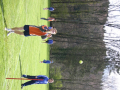 twso_17_20130327_2032685161
